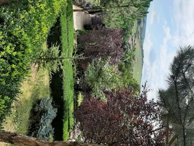 dc568af0-7d98-4b14-85ef-005cec530801-1_all_1780