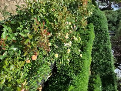 dc568af0-7d98-4b14-85ef-005cec530801-1_all_1779