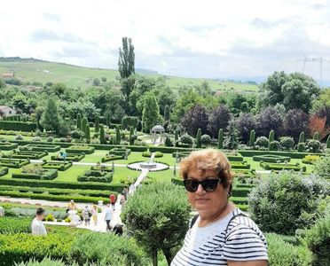dc568af0-7d98-4b14-85ef-005cec530801-1_all_1784