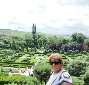 dc568af0-7d98-4b14-85ef-005cec530801-1_all_1783