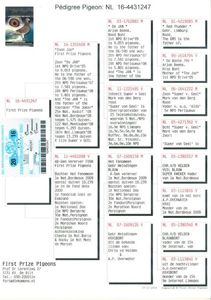 4431247-2-scaled
