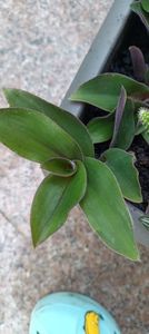 IMG-20241008-WA0005