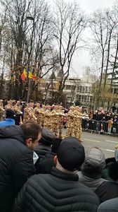 IMG20241201101920_01