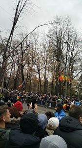 IMG20241201101845_01