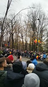 IMG20241201101844_01