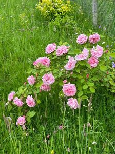 WhatsApp Image 2024-05-11 at 19.57.15 (2)