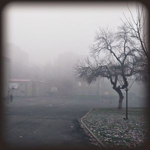 ♡ Day 30 ; 14.12.2024; Damon Salvatore, are u in my school? :))
