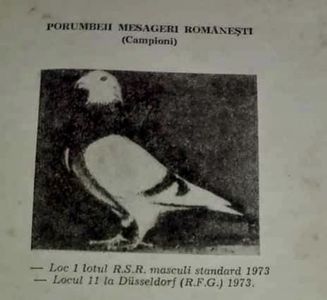 Messenger_creation_381723943196845