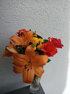 Img.2024.05.12