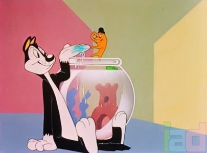 Fin N Catty