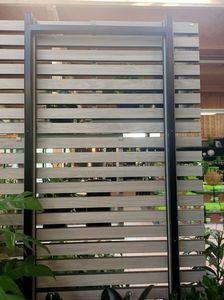 IMG20240906103255