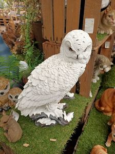 IMG20240909110538