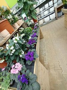 IMG20240909111916