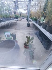IMG20241104103108