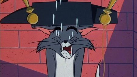 Jerry Jerry Quite Contrary