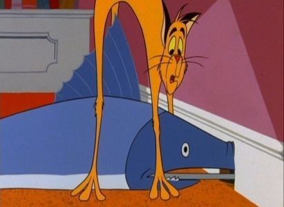 Catty Cornered