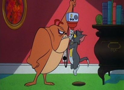 Rock N Rodent