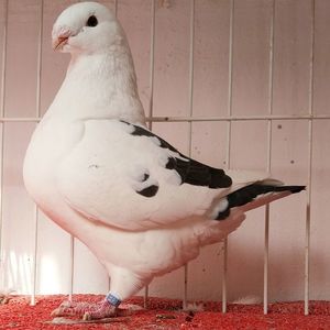 F2024