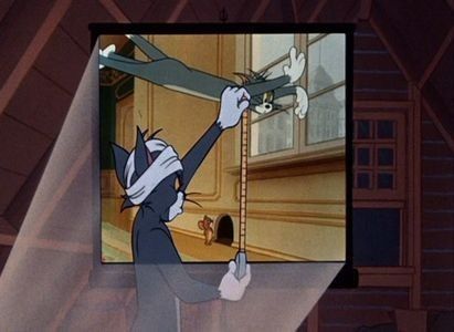 Shutter Bugged Cat