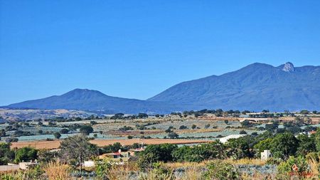 AGAVE Farm 1