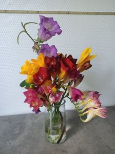 Img.2024.06.24