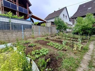 Img.2024.06.29