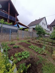 Img.2024.06.29