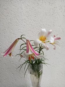 Img.2024.06.30