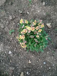 Img.2024.07.13