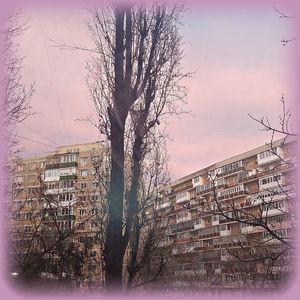 ♡ Day 38 ; 22.12.2024