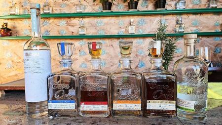 CAVA de ORO - Tequila Brand