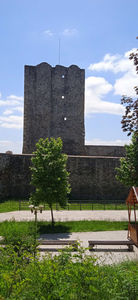 Cetatea Severinului