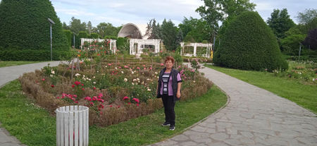 Parcul Rozelor din Timisoara