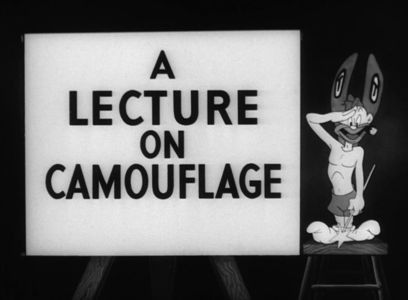 A Lecture On Camoulflage