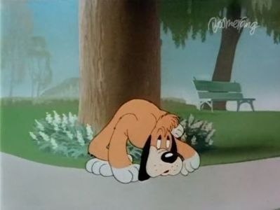 Ding Dog Daddy