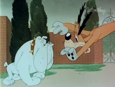 Ding Dog Daddy