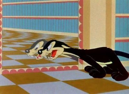 The Aristo Cat