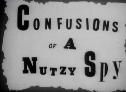Confusions Of A Nutzy Spy