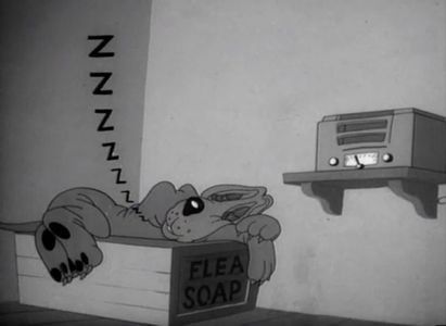 Confusions Of A Nutzy Spy