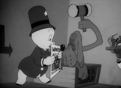 Confusions Of A Nutzy Spy