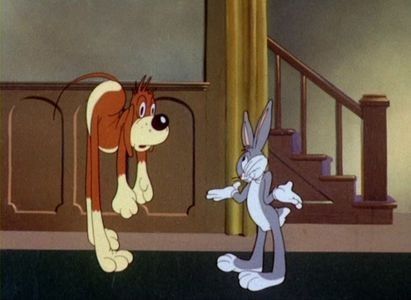 Hare Force