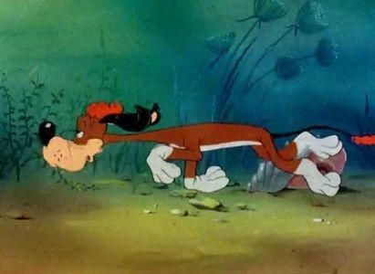 Hare Ribbin