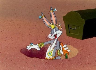 Buccaneer Bunny