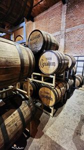 Tequila CASCAHUIN 1