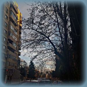 ♡ Day 44 ; 28.12.2024