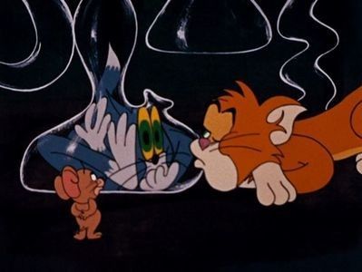 Switchin Kitten