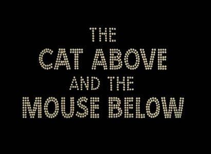 The Cat Above And The Mouse Below