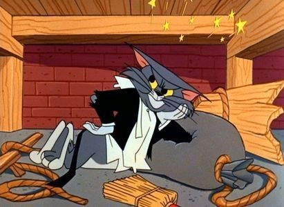 The Cat Above And The Mouse Below