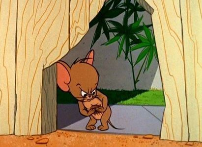 Pent House Mouse
