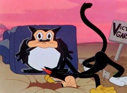 A Tale Of Two Kitties